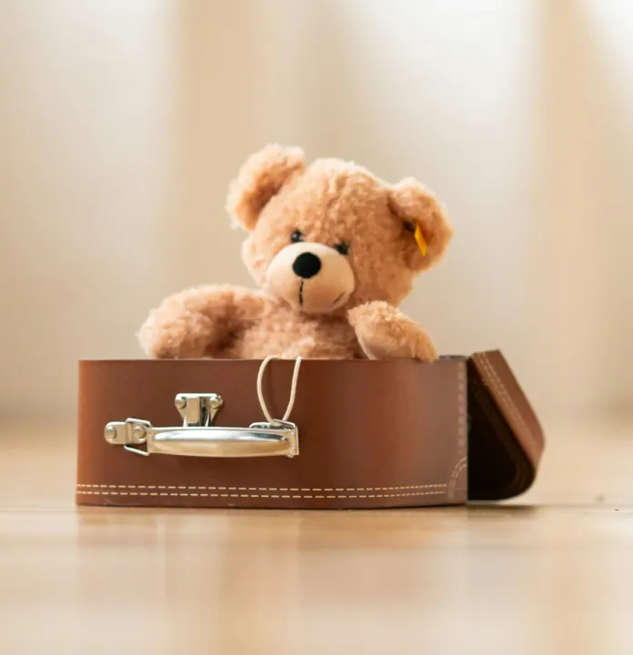 Travel Crib & Bassinet
