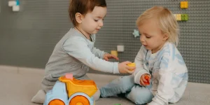 Ergonomic Baby Carrier